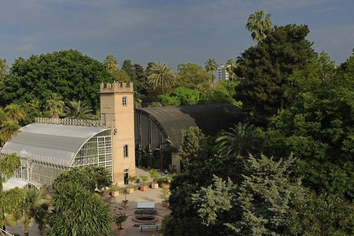 Vive la primavera en el Jardín Botánico de la Universidad de Valencia