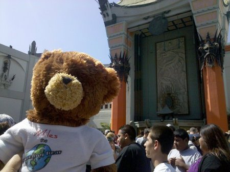 Negocios raros: una agencia de viajes para animales de peluche