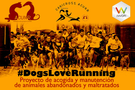 Dona tus kilómetros a una buena causa: #DogsLoveRunning
