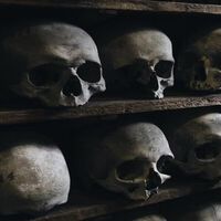 Destinos turísticos de miedo y morbo: 10 destinos marcados por guerras, peligrosidad y muerte que seduce a turistas 