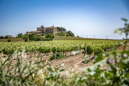 Penedès