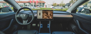 Elon Musk prometió que los Tesla se conducirían solos. Ahora tienes que dar un cursillo para conducir con el Autopilot