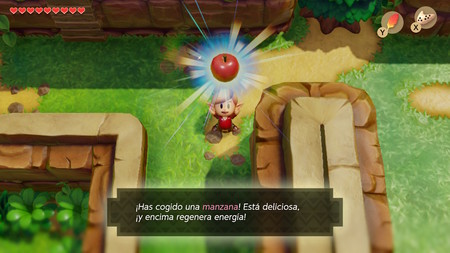 manzana manzana