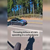 Lechugas contra la velocidad: un tiktoker con un radar móvil se lía a lechugazos con un Tesla que iba al doble de velocidad delante de un colegio 