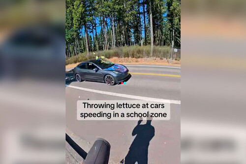 Lechugazo Viral Tesla Ok