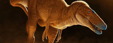 Antes dos tiranossauros existiam os "dragões": nova espécie de dinossauro é identificada na Mongólia