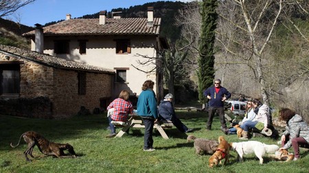 Viajesconperro