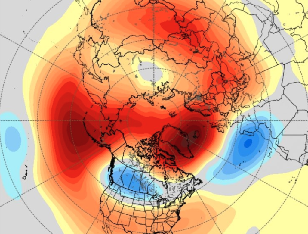 La cosa más bonita, emocionante y esperanzadora de noviembre ha salido de Inglaterra y es una predicción meteorológica 