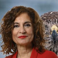 Hacienda vigila a los autónomos que usan sociedades para no pagar impuestos: en 2025 aumentarán los casos