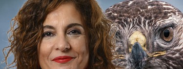 Hacienda vigila a los autónomos que usan sociedades para no pagar impuestos: en 2025 aumentarán los casos