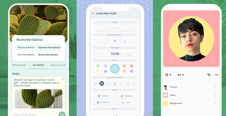 Las mejores apps para el día a día de Android en 2021: de 'Blossom' a 'Rabit'