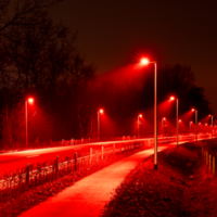 Europa está llenando sus calles de farolas rojas para salvar a los murciélagos. El problema es que son un peligro para las motos 