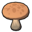Button Shroom Venenosa