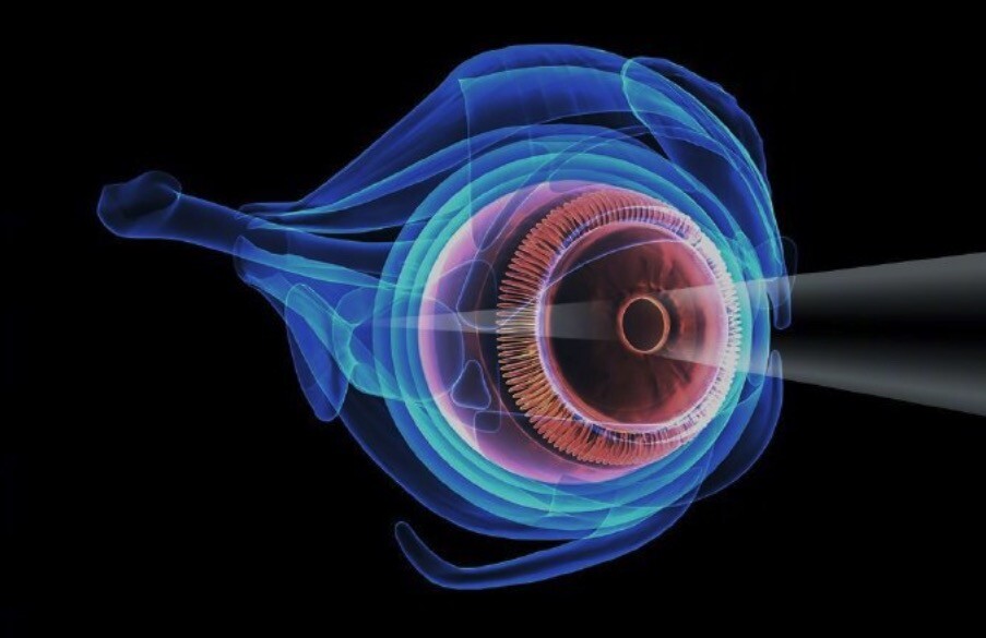 El próximo Xiaomi Mi Mix estrenará una cámara con una innovadora lente líquida