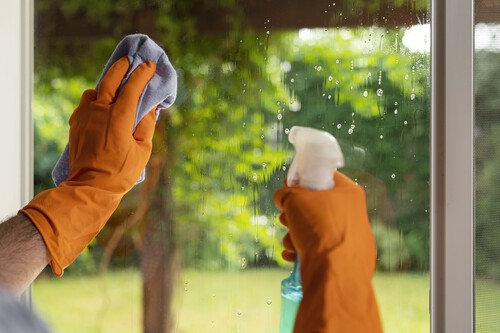 Limpia cristales Karcher Lidl