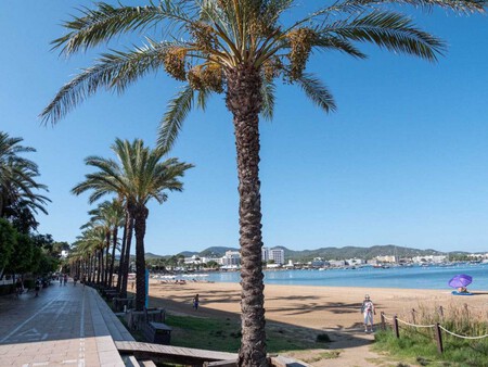 Viajes Escapadas Turismo Espana Ibiza Eclipse Solar 2026 Playa Buena Comida Costa Bonita Tranquila Vacaciones Agosto