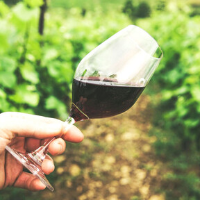 Cosechero, pero con 92 puntos Parker: el vino de nueve euros de la Rioja Alavesa que no puedes perderte