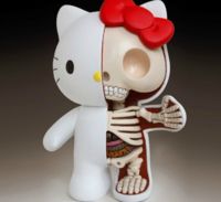 ¿Y si pudiéramos ver el interior de nuestros juguetes favoritos? 