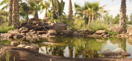 Desert City 6