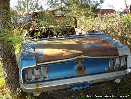 Ford Mustang Cabriolet