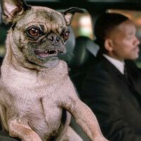 Siempre quisimos ver la verdadera apariencia del perro Frank en Men in Black y la serie animada cumplió nuestro deseo