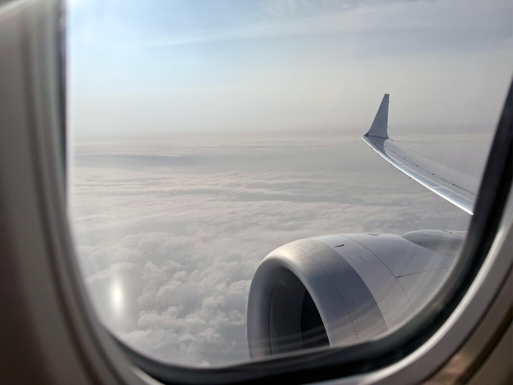 Hay una app para iPhone que predice la turbulencia de tu vuelo. Según cómo lo lleves, puede ser lo mejor o lo peor que puedes mirar antes de embarcar 