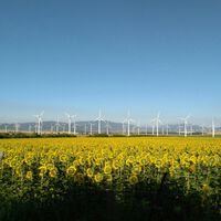 Resolviendo la extraña paradoja de España: si generamos energía más barata que nunca, ¿por qué la factura no baja tanto?