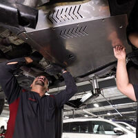 Se roban tantos catalizadores que Toyota ya ofrece un escudo antirrobo, pero hay que pagarlo aparte