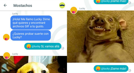 Allo tiene un nuevo bot, Lucky, que busca GIF animados por ti