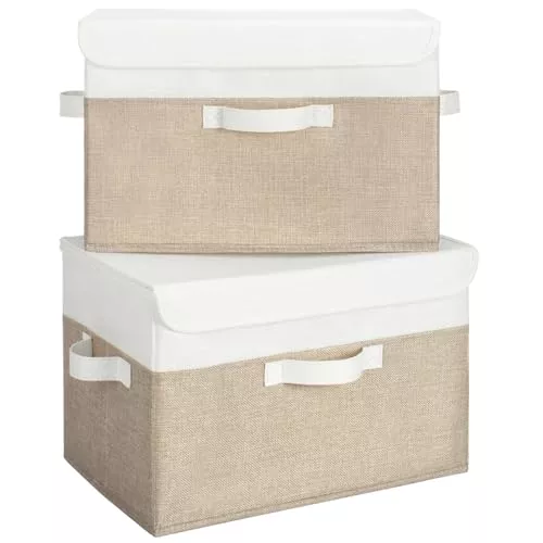 GRANNY SAYS Cajas Almacenaje con Tapa, Paquete de 2 Cajas de Almacenamiento para Estantes