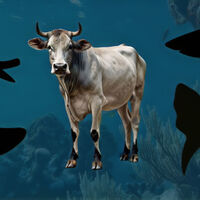 En China arrojaron a una vaca a las profundidades del mar. Descubrieron ocho criaturas que ni siquiera deberían estar ahí 