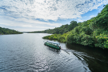 Floresta Amazônica. Créditos: banco de imagens