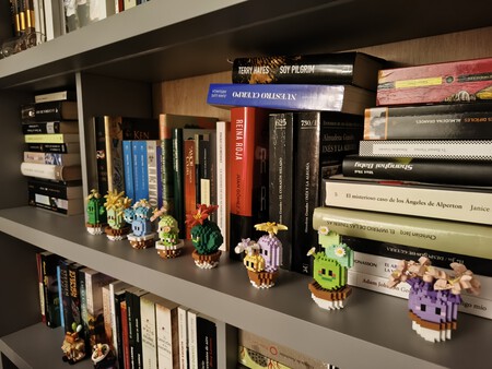 Img 20260226 201446563