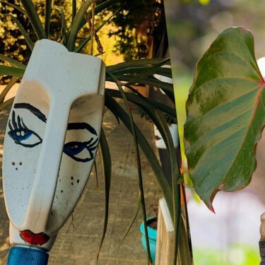 No las tires: las botellas que cada día desechas son las mejores macetas para tu terraza 