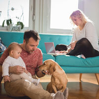 Ahora somos Ceptual Media y lo celebramos con el lanzamiento de un nuevo medio para los amantes de los animales 