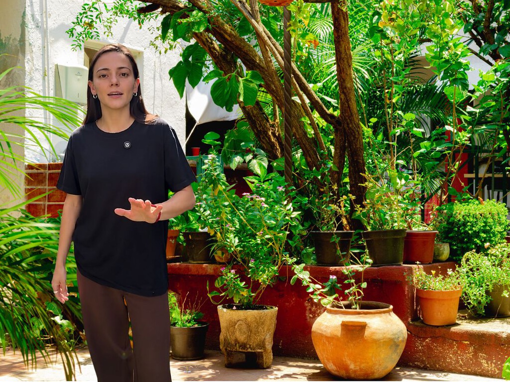 Experta en jardinería: "Estas plantas aguantan 45 grados sin tener que regarlas cada día"