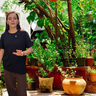 Experta en jardinería: "Estas plantas aguantan 45 grados sin tener que regarlas cada día"  
