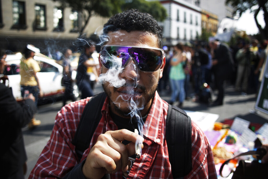 La paradoja de la marihuana: en plena fiebre legalizadora, cada vez tenemos más claro que fumarla es perjudicial