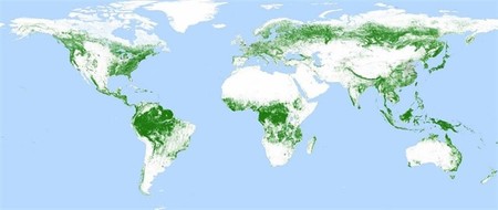 Un mapa global de bosques a resolución de 50 metros gracias al satélite alemán TanDEM-X