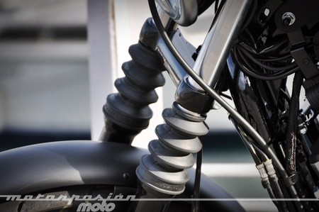 Harley-Davidson Sportster Iron 883