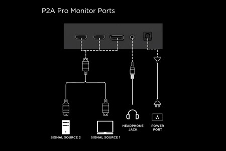 P2a