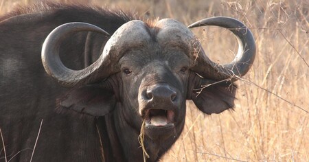 Los estándares de código de GNU dicen que nunca abrevies Windows como "win" porque suena demasiado positivo