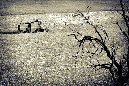 ¿Al borde de una crisis alimentaria global?