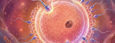 If you are worried about the quality of your sperm, science has a clear recipe for you: ejaculate more