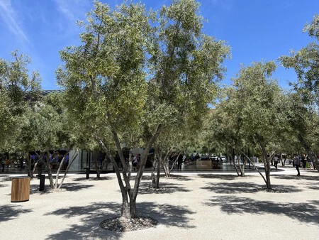 Apple Park WWDC22 Pedro Aznar Applesfera