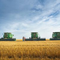 Guerra com Irã interrompeu comércio global de fertilizantes: é uma péssima notícia para a cesta básica 