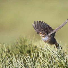 Foto 6 de 6 de la galería hasta-14 en Xataka Foto