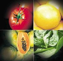 10 Buenas razones para consumir alimentos ecológicos