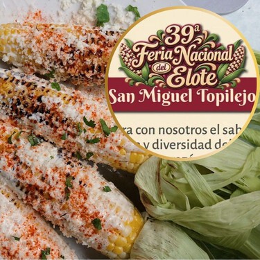 Ya viene la Feria Nacional del Elote 2026 en CDMX: disfruta elotes, esquites, panes, antojitos, música y una presentación de la Guelaguetza gratis