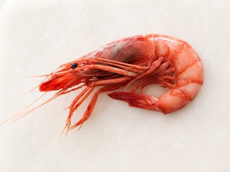 Gamba